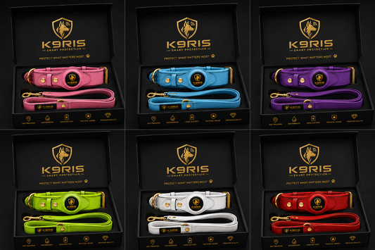 K9RIS Heritage™ Leather AirTag Collar + Leash Set