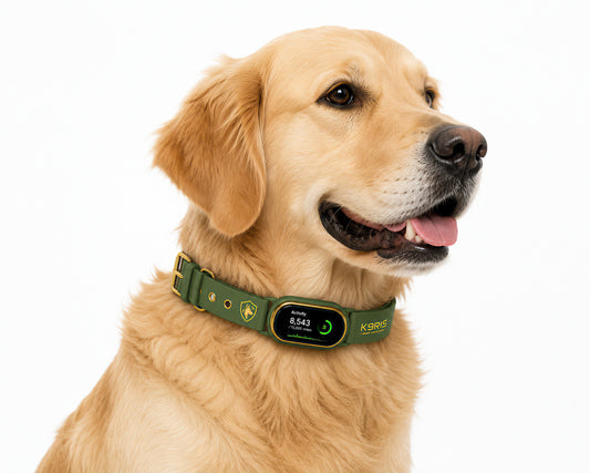 K9RIS™ Vigil Pro Slim — Real-Time 4G GPS Smart Collar | Coming Soon