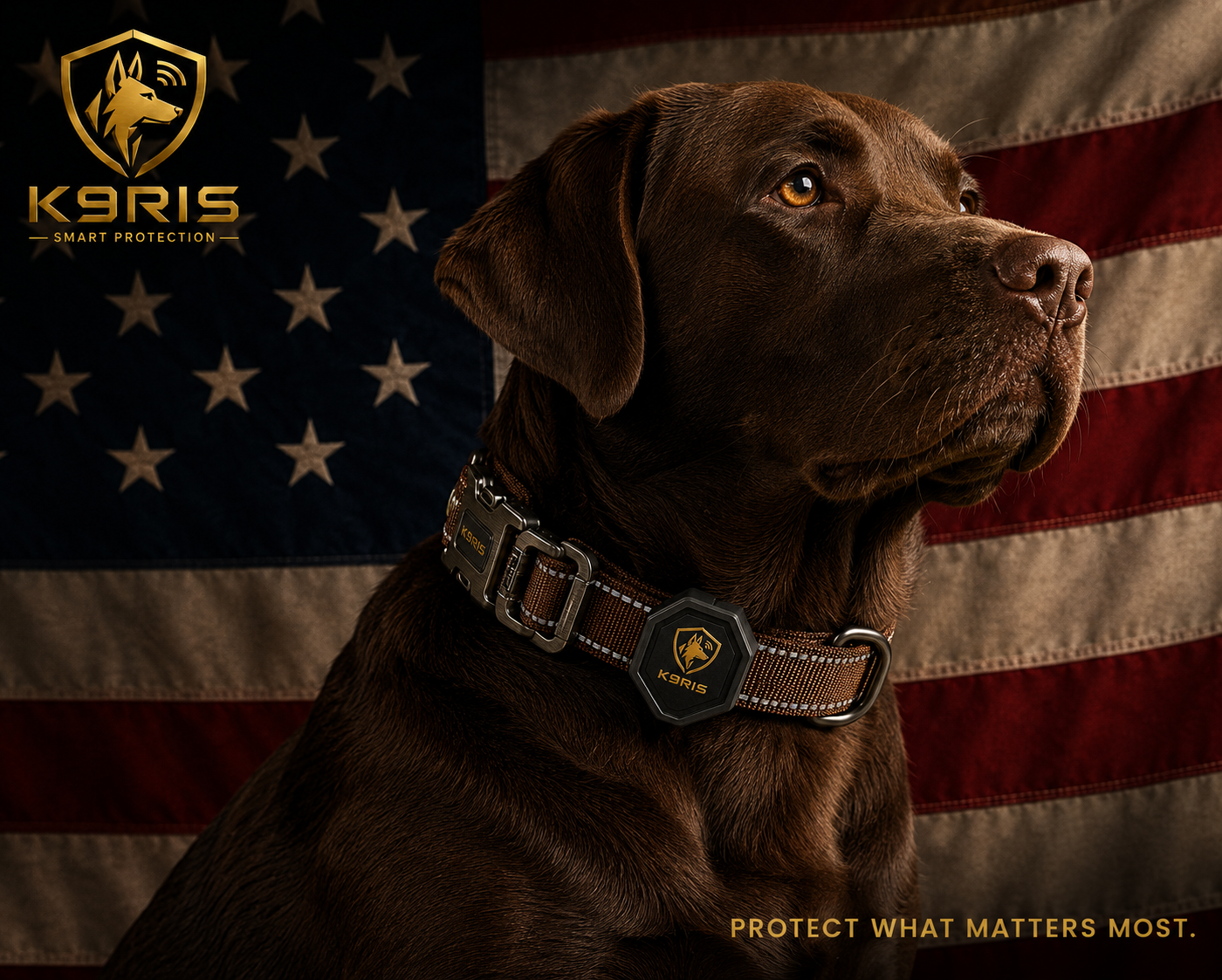 K9RIS™ Tactical AirTag Collar — Premium Heavy-Duty Dog Collar