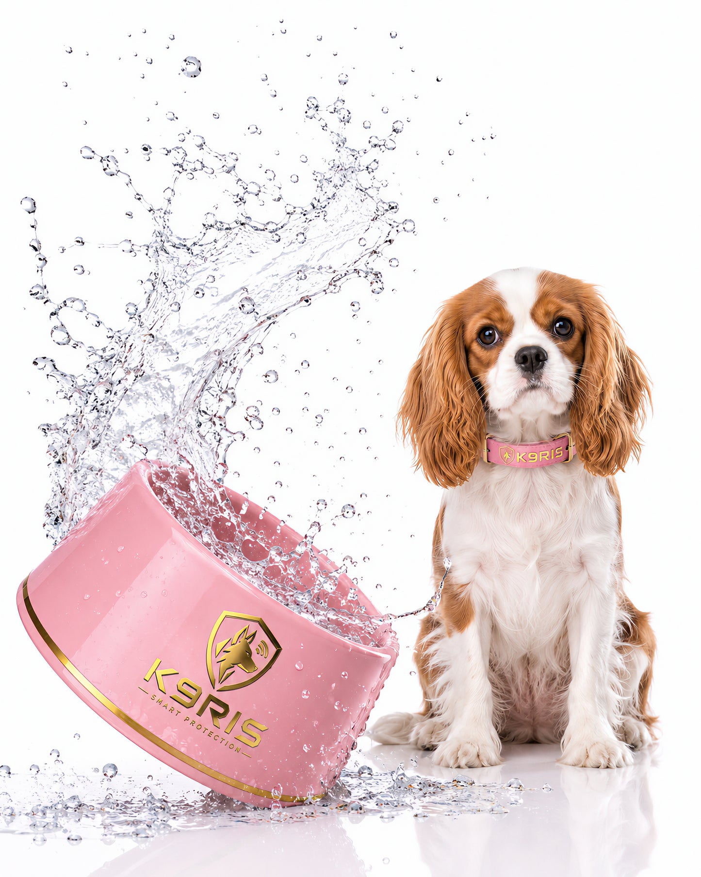 K9RIS™ Sentinel Bowl Collection