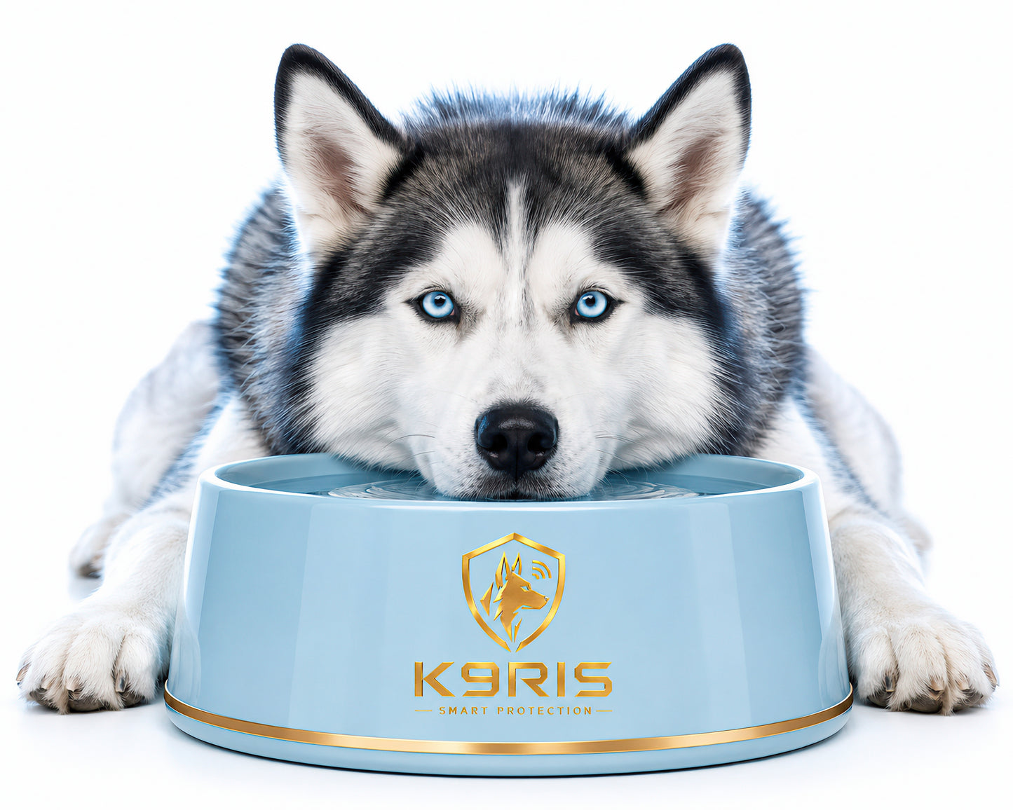K9RIS™ Sentinel Bowl Collection