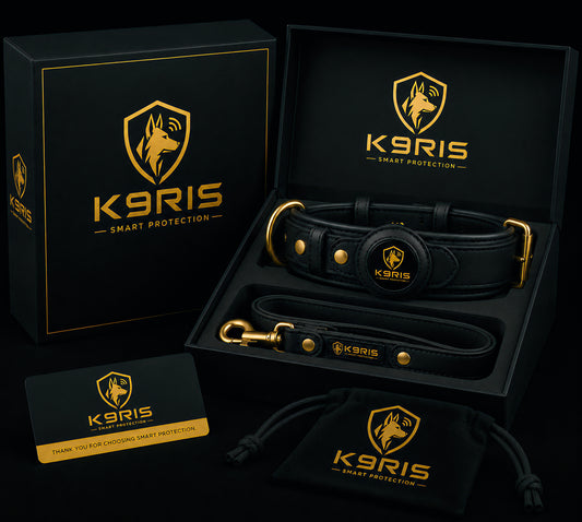 K9RIS Heritage™ Leather AirTag Collar + Leash Set